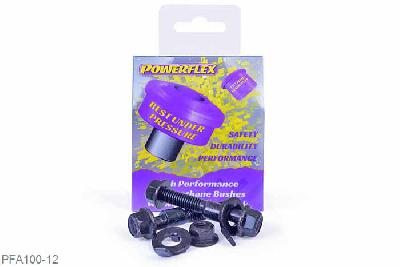 PFA100-12, Peugeot 307 (2001-2011) PowerAlign Camber Bolt Kit (12mm), Kit contains 2 camber bolts, tab washers and nuts. Camber adjusting bolt to replace the original 12mm bolt. This fits 2 bolt hub to strut models only. Check bolt diameter.                      Why not add our Magnetic Camber Gauge to your tool kit so that you can make pit garage adjustments to your suspension using PowerAlign Camber Bolts....Click HERE for more information 12mm, 1 stuk(s) benodigd  per auto, 1 stuk(s) in verpakking, prijs per set van 1 stuk(s)